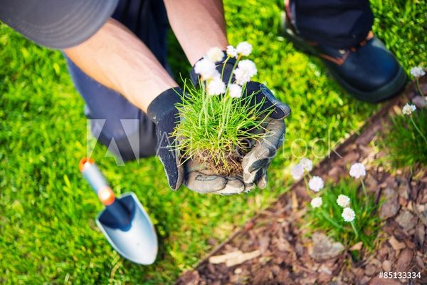 Gardens and more. Treat yourself to the outdoors of your dreams.