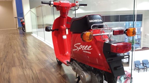 Part the Ancona family's vintage Honda collection, on display at the dealership.