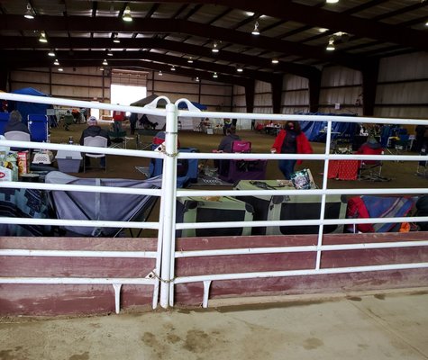 Inside barn hunt