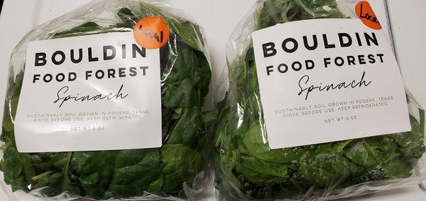 Bouldin Food Farms Spinach bought from Wheatsville South Lamar