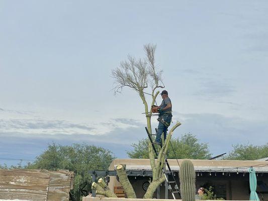 The Cutting Edge Tree Service & Landscaping