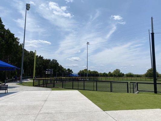 Batting cage and field