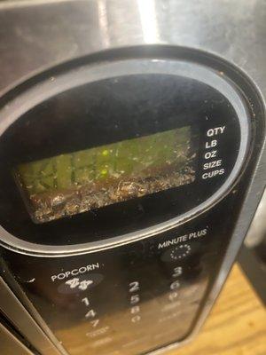 The microwave at the Airbnb I rented. this was inside of the microwave  roaches dead carcasses everywhere