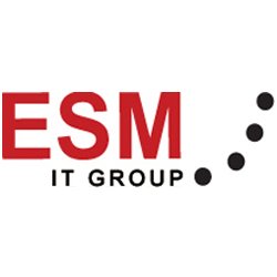 ESM IT Group Logo