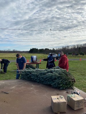 Wrapping my tree