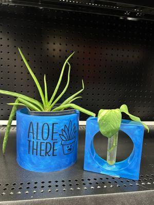 Sassy planter pots