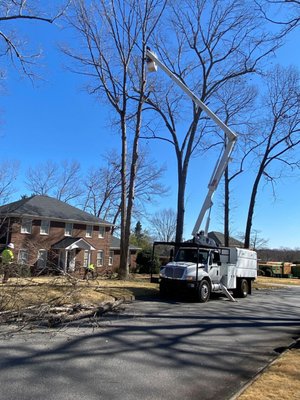 Regular tree maintenance is crucial for ensuring the health and safety of your trees, and Tyndal Tree Service LLC provides co...