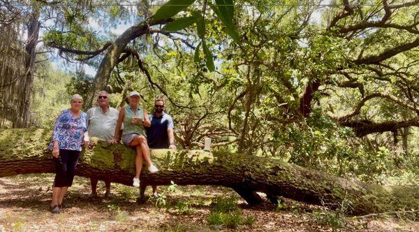 Beautiful park with ancient trees!