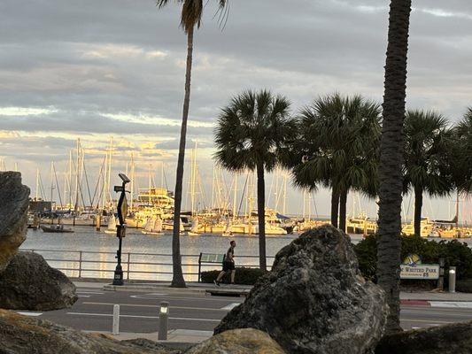 Backdrop of the Marina from Dali Lounge patio