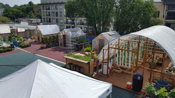 Rooftop Garden at H St. Farms