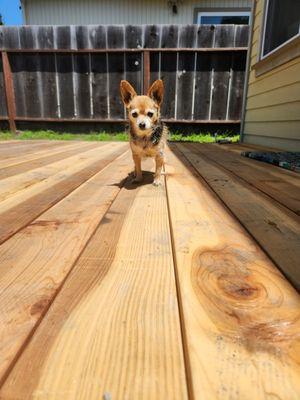 redwood deck