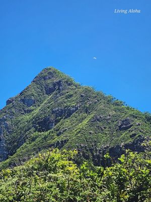 Pu'u Manamana Hiking Trail