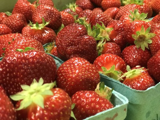 fresh local strawberries - in season