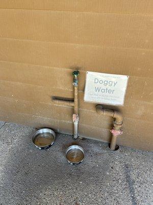 Dog bowl