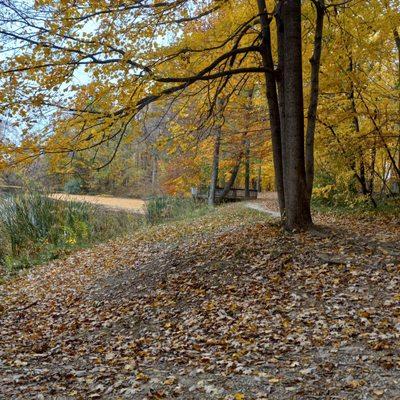 The trail has some gentle inclines I have no difficulty with in my wheelchair.