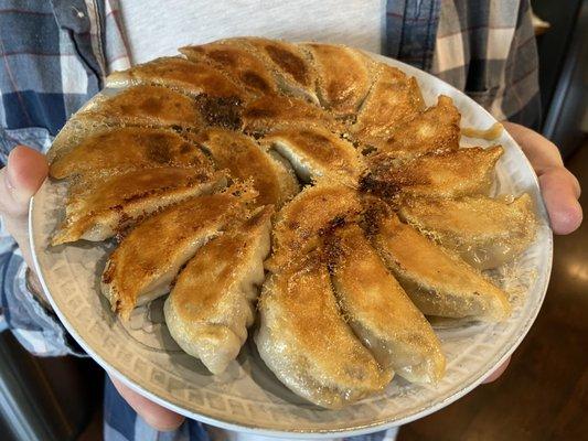 huge dumplings, pan fried, not deep fried!