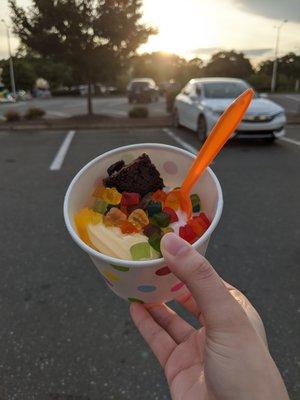 Yopop Frozen Yogurt