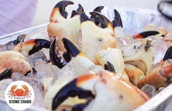 Strictly Stone Crabs