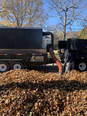 Rake and take to our composting facility...