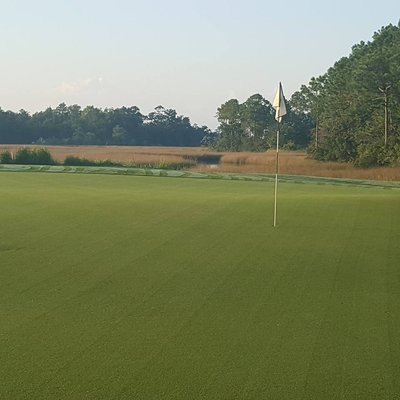 Tiff Eagle greens perfectly manicure averaging 9 to 11 in the Stemp meter.