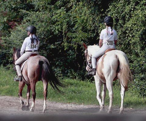 Topline Horse Center