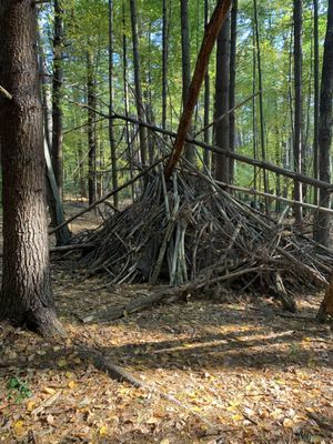 Prosser Pines Nature Preserve