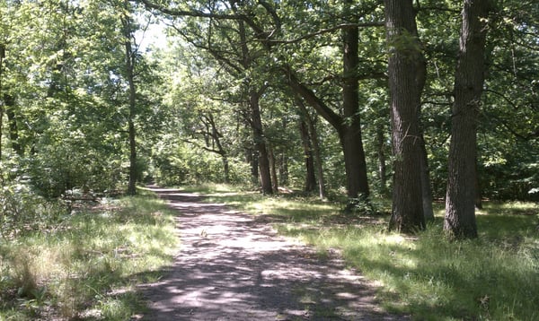 The east half of the park is forested