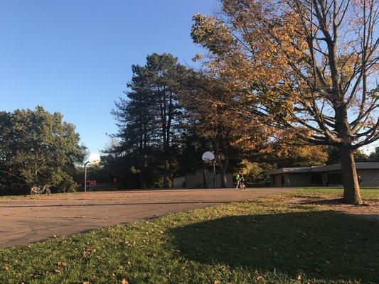 Basketball court