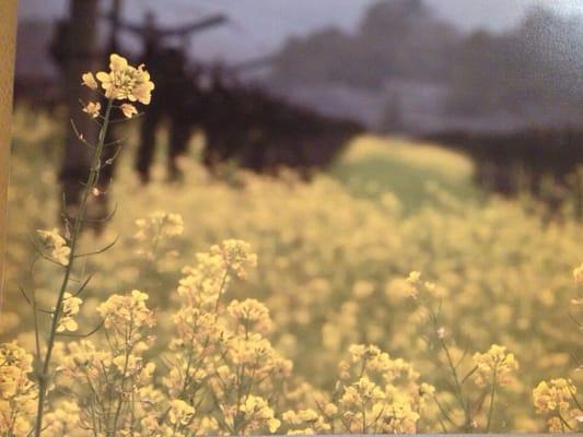 Mustard field picture on canvas