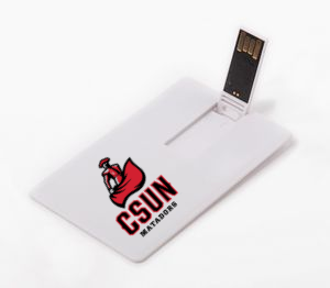 Flash Drive with your logo