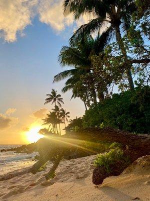 Little tiny private beach spot just across the street