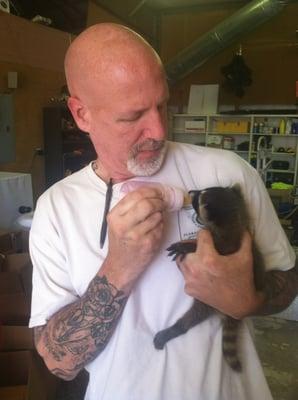 Jarrod feeding a baby raccoon after it's capture. Its mother was nowhere to be found and must have been hit by a car.