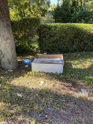 A dumped dresser/cabinet