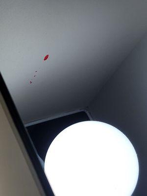 There is what appears to be blood inside the lamp shade. The same was on the bedspread