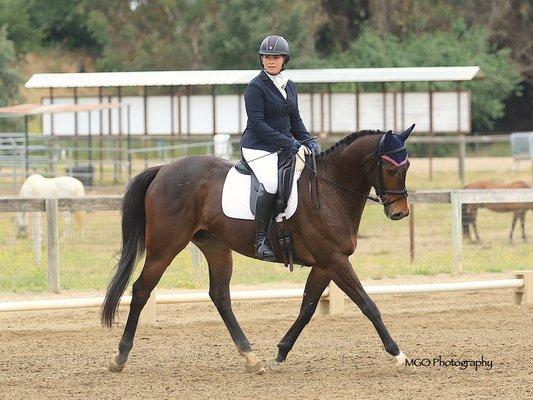 Dressage - Beg Novice