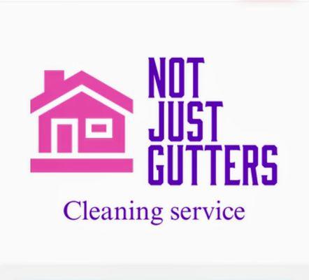 Not Just Gutters Cleaning Service