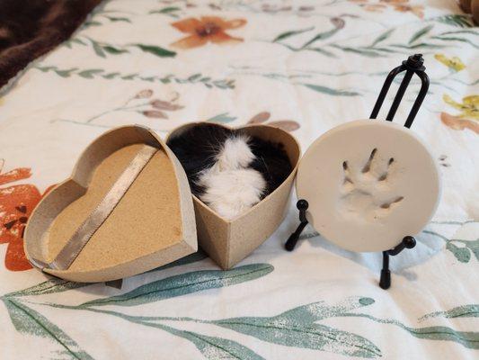 paw print in clay, and heart shaped box with fur clipping