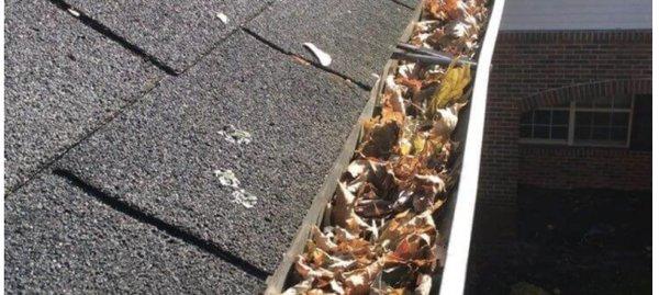 Gutter Cleaning