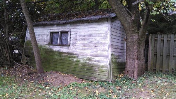 Shed Removal Before