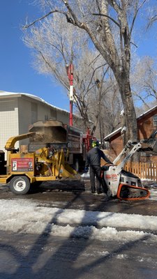 Mick's Tree Service