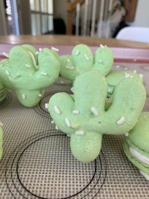 Cacti macarons