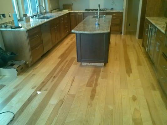 Kitchen Remodel with Island and sink, Custom framed Pantry into corner, all new cabinets and flooring.