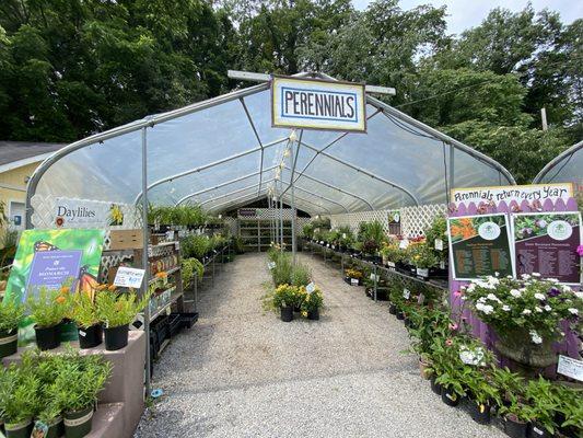 Butterfly weeds, tickseeds, ground covers, etc.