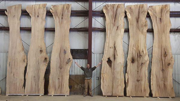 Founder John Monks with six enormous maple slabs - this tree grew up in Bristol, VT and came to VTG after it had died.