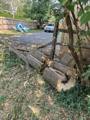 Hazardous tree that was removed from fence in an emergency call.