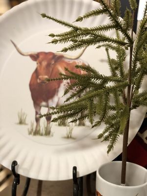 Longhorn melamine platters, great for outdoors!