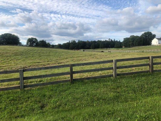 Beautiful rolling pastures