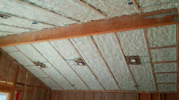 Vaulted ceiling, Master suite addition.600 square feet. 5 inch Closed cell spray foam.