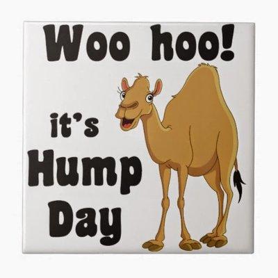 Happy Hump Day From Cuddle Country Corner Realty.