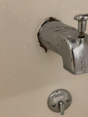 Moldy faucet